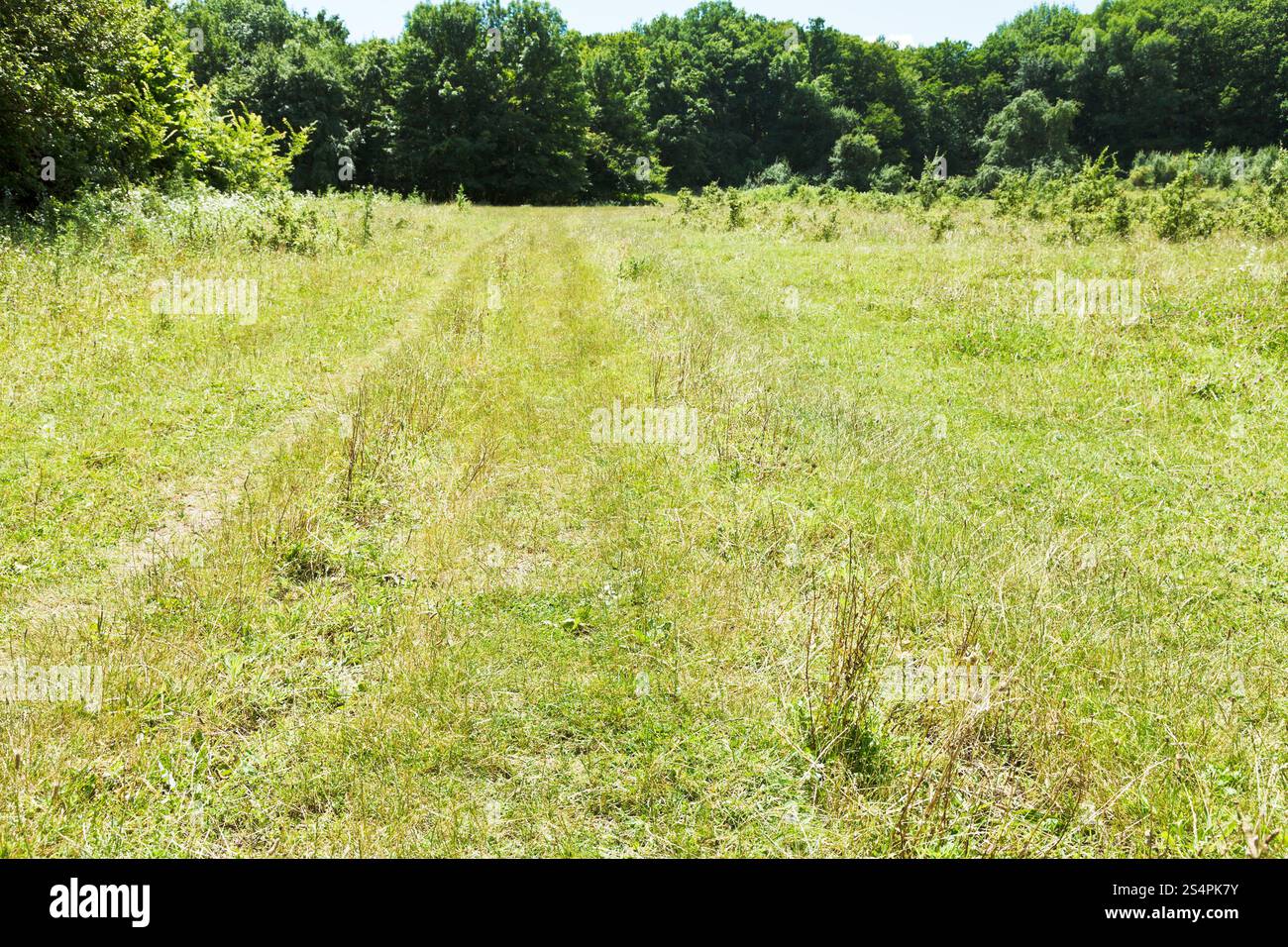 Offroad-Tracks auf der grünen Wiese im Kaukasus Mittelgebirge im Sommertag Stockfoto