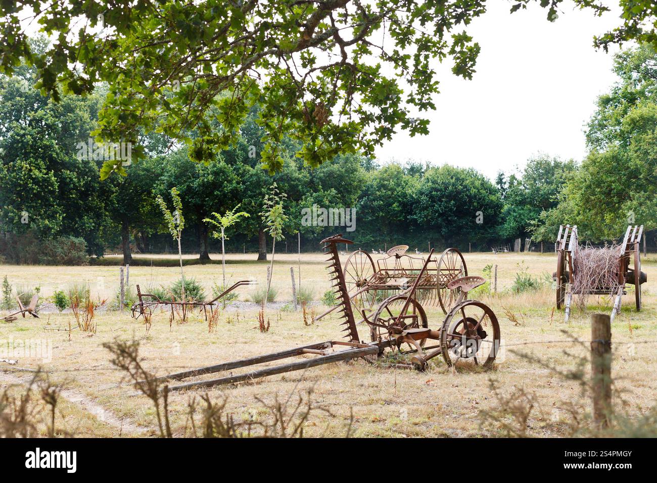 bäuerlichen Haushalt mit verlassenen Landmaschinen im Dorf de Breca, natürliche Regionalpark Briere, Frankreich Stockfoto