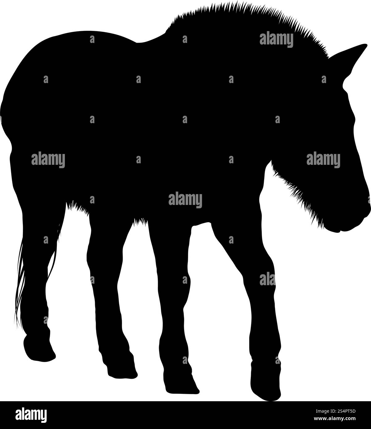 Pferd Silhouette. Sehr detaillierte glattes Design. Vector Illustration. Stock Vektor