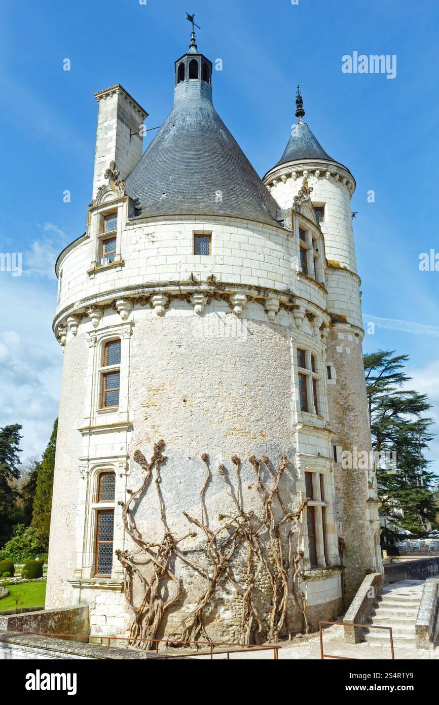 Der Marques-Turm. Schloss Chenonceau (in der Nähe von Dorf Chenonceaux, Frankreich). Seine erste Erwähnung im 11.Jh. schriftlich. Stockfoto