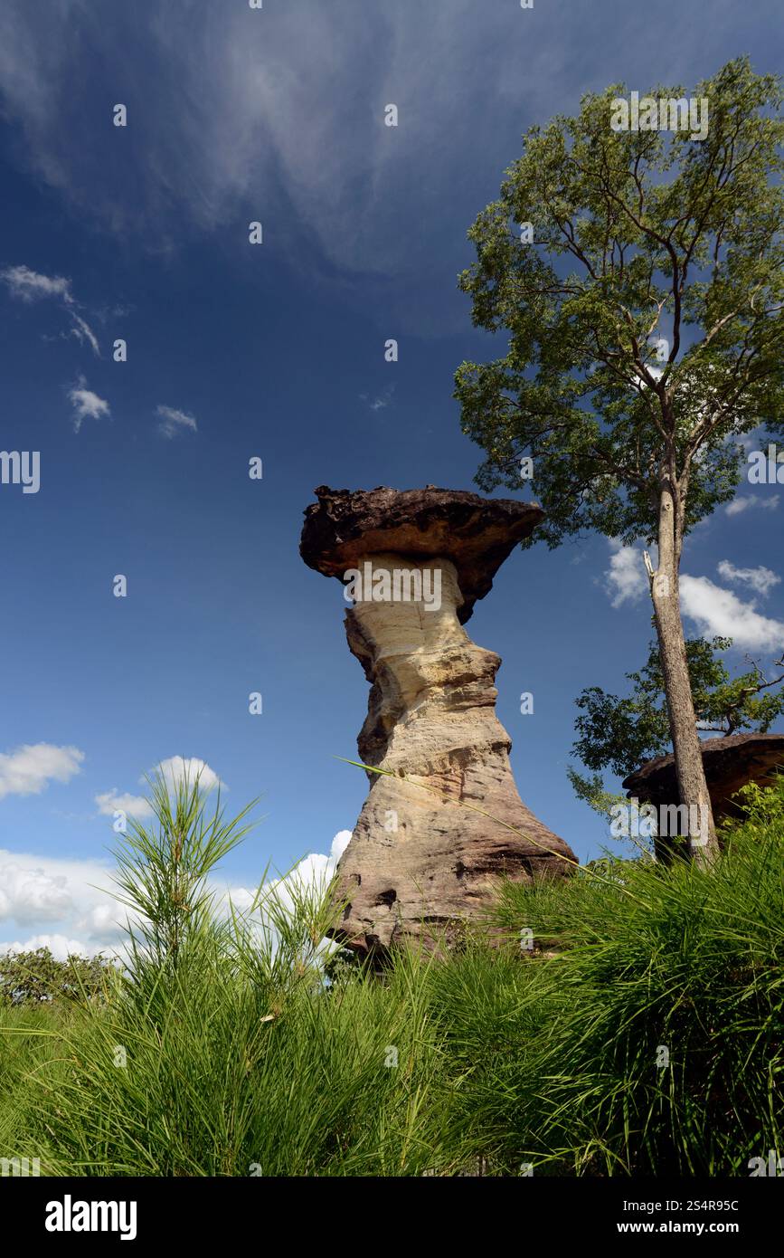 Die Steinformation im Pha Taem Nationalpark in der Nähe von Khong Chiam und dem mekong Fluss in der provinz Ubon Rachathani in der Region Isan in Stockfoto