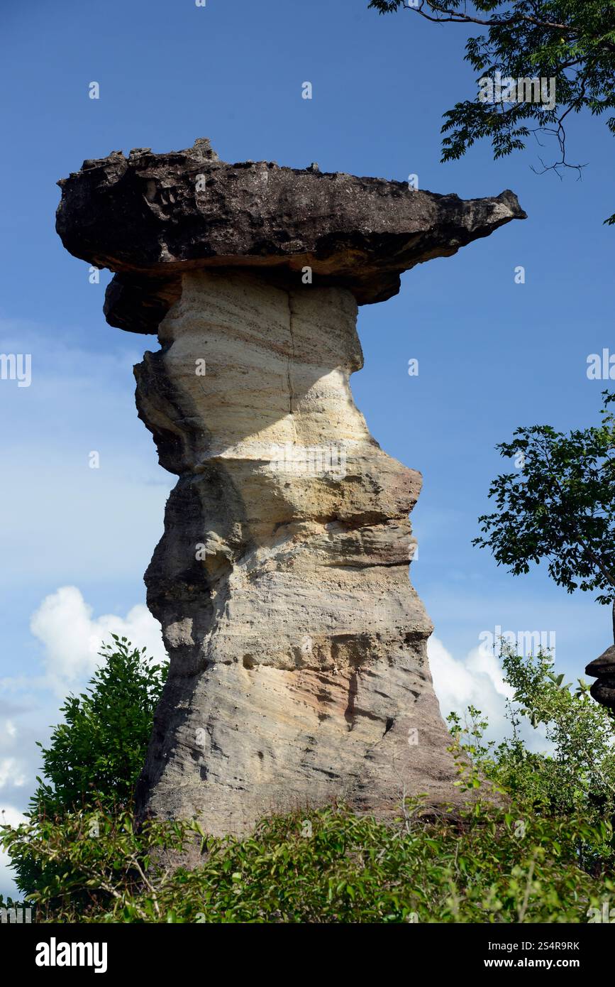 Die Steinformation im Pha Taem Nationalpark in der Nähe von Khong Chiam und dem mekong Fluss in der provinz Ubon Rachathani in der Region Isan in Stockfoto