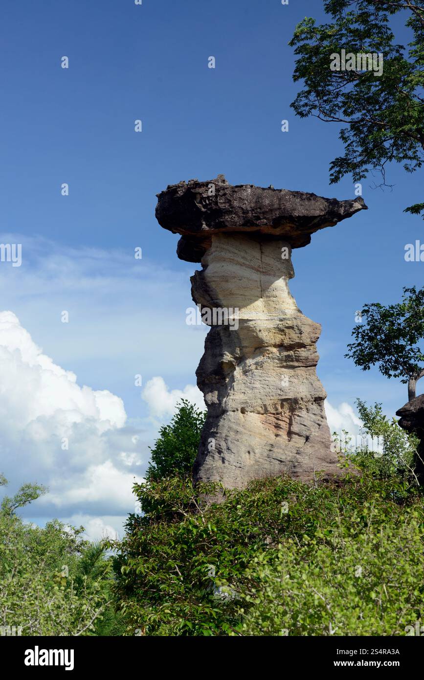 Die Steinformation im Pha Taem Nationalpark in der Nähe von Khong Chiam und dem mekong Fluss in der provinz Ubon Rachathani in der Region Isan in Stockfoto