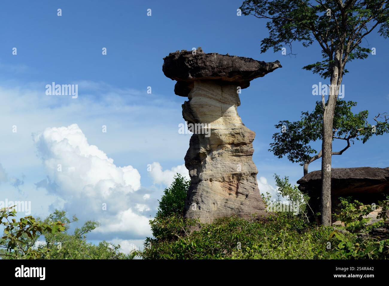 Die Steinformation im Pha Taem Nationalpark in der Nähe von Khong Chiam und dem mekong Fluss in der provinz Ubon Rachathani in der Region Isan in Stockfoto