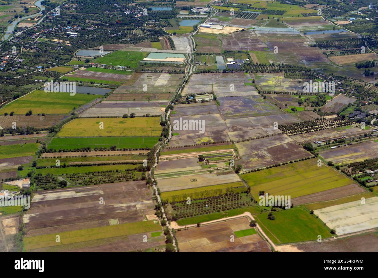 Agrar-Kultur in der Nähe der Stadt chiang mai im Norden Thailands in Southeastasia. &#XA;&#XA;&#XA; Stockfoto