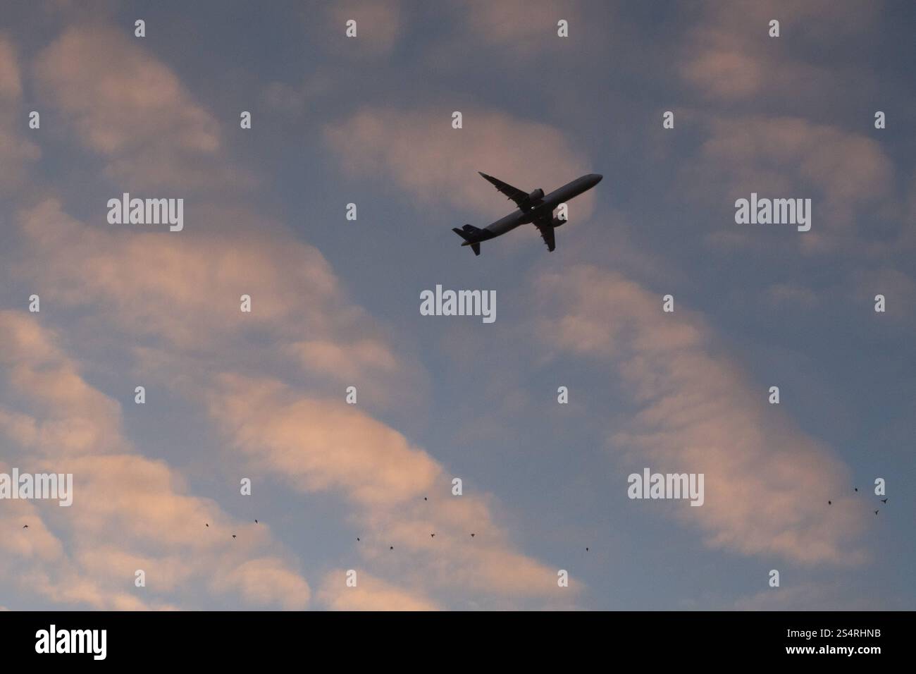 15.10.2024, Schönefeld, Brandenburg, GER - Flugzeug und Voegel am Himmel. Absturzgefahr, aussen, Aussenaufnahme, Brandenburg, deutsch, Deutschland, Europa, europaeisch, Ferien, Fernreise, fliegen, Flieger, Flug, Flugbetrieb, Flugreise, Flugtechnik, Flugverkehr, Flugzeug, Froschperspektive, gefaehrlich, Gefahr, Himmel, in der Luft, Jet, Luftverkehr, niemand, Passagierflugzeug, Passagiermaschine, QF, Querformat, Reise, Schattenriss, Schönefeld, Silhouette, Steigflug, Tourismus, Transport, Transport, Umriss, Urlaub, Verkehr, Verkehrsflugzeug, verreisen, Voegel, Vogelschlag, Wirtschaft, ziv Stockfoto