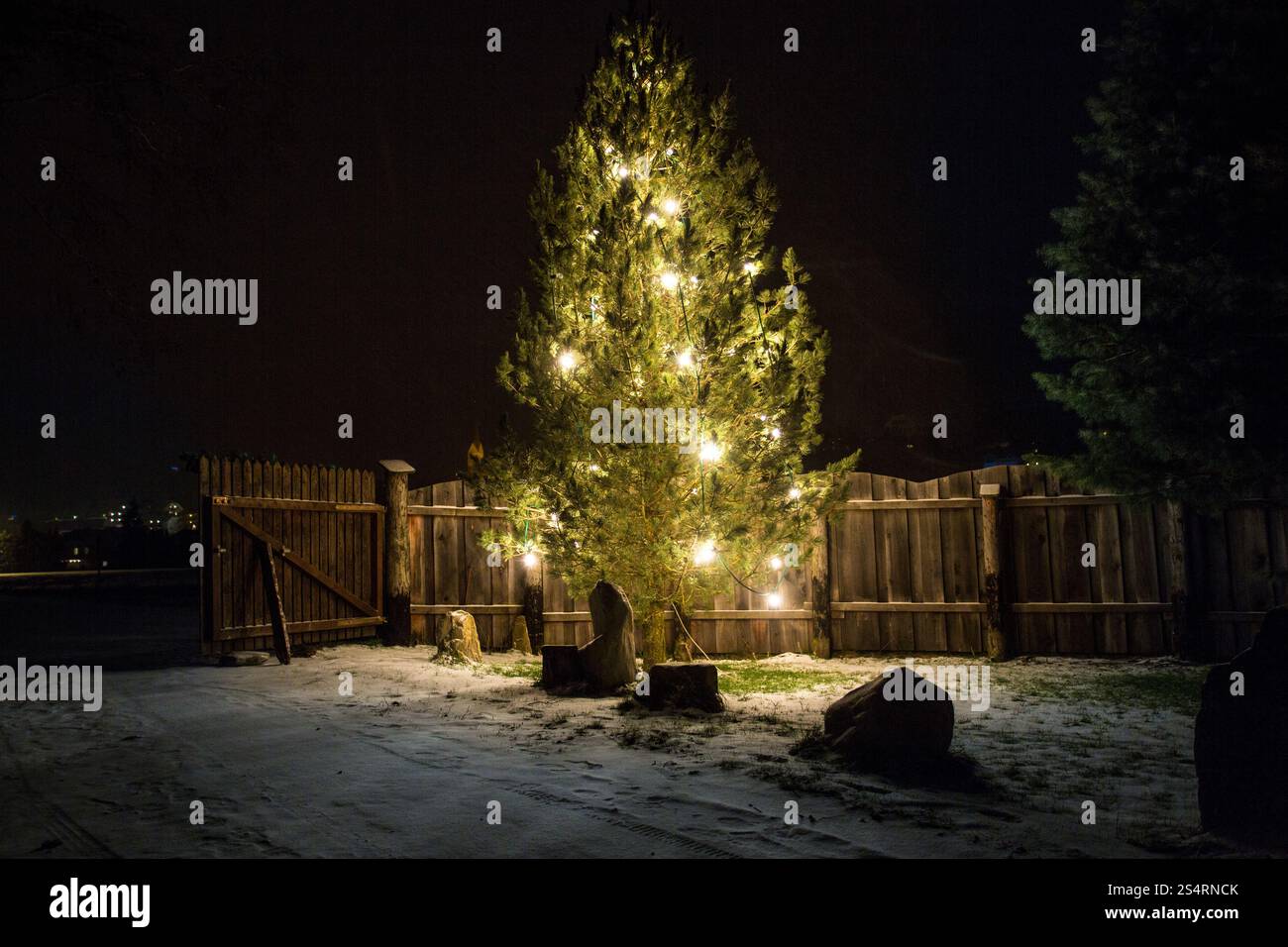 Im Freien Schuss der große Weihnachtsbaum geschmückt von Lichtern in der Nacht Stockfoto