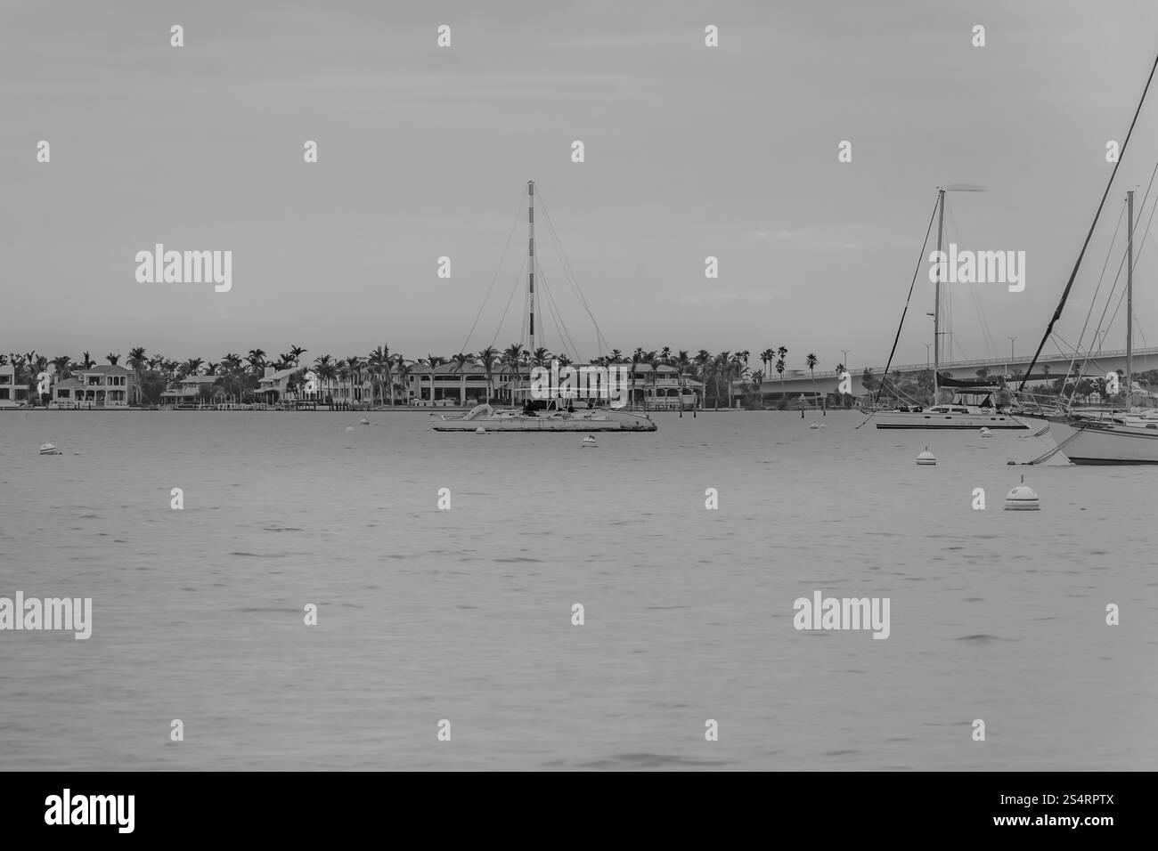 Ein wunderschönes Mono-Foto von einer Landschaft bei Sonnenuntergang im Bayfront Park Sarasota Florida USA hat im Januar 2025 die warmen Farben des Sonnenuntergangs aufgenommen Stockfoto