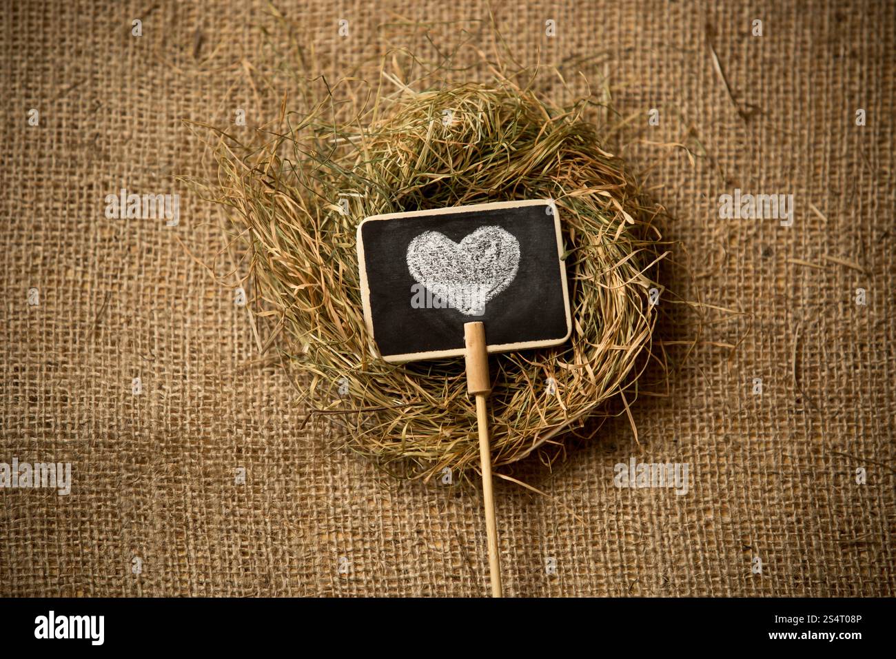Nahaufnahme Foto des kleinen Herzens auf Tafel im Vogelnest liegend gezeichnet Stockfoto