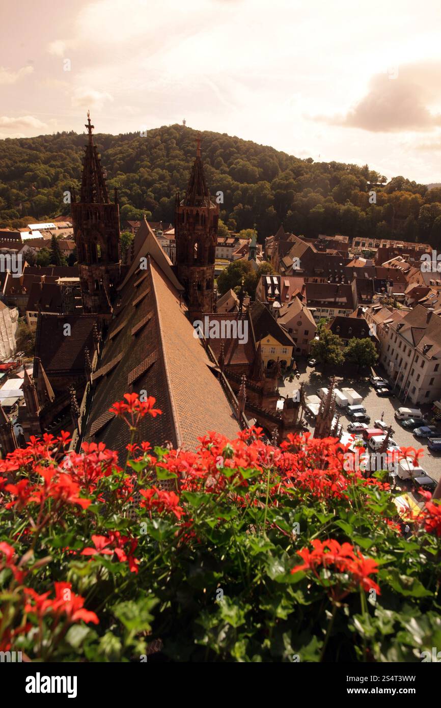 die alte Stadt von Freiburg Im Breisgau im Schwarzwald im Süden von Deutschland in Europa. Stockfoto