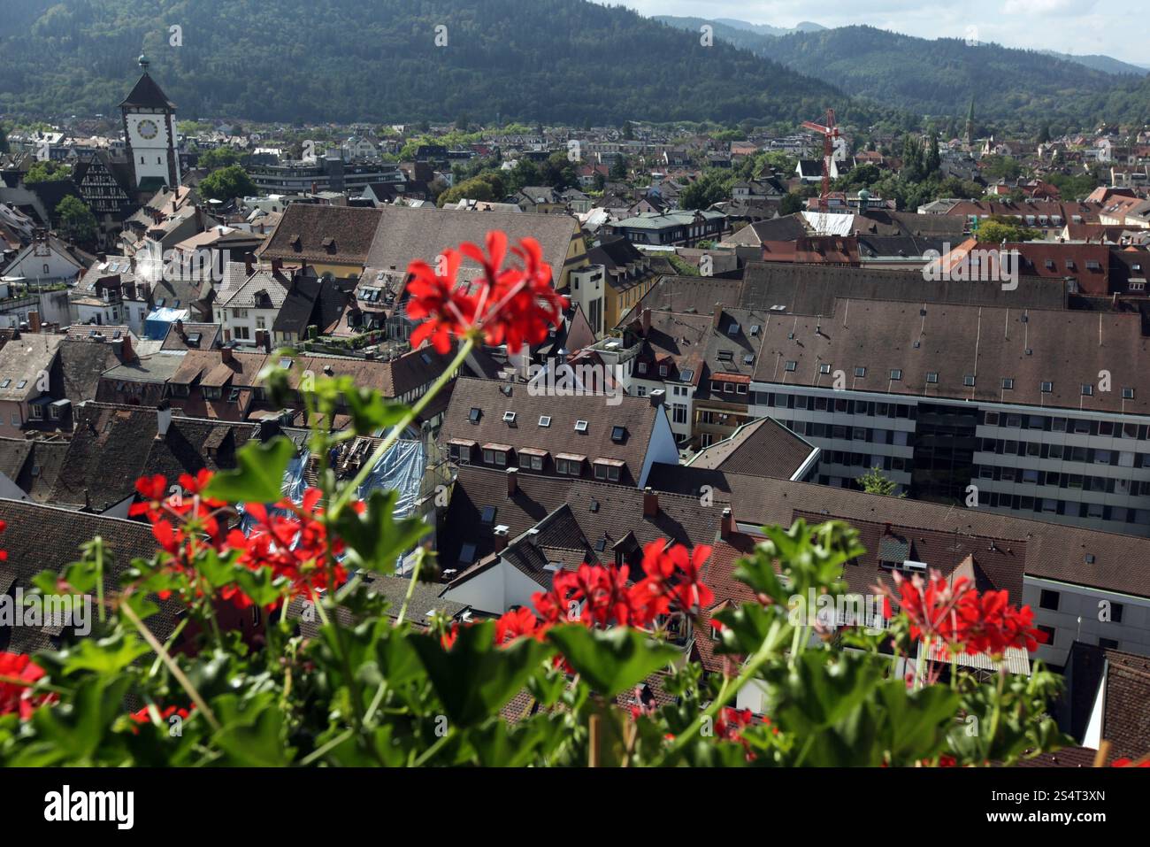 die alte Stadt von Freiburg Im Breisgau im Schwarzwald im Süden von Deutschland in Europa. Stockfoto