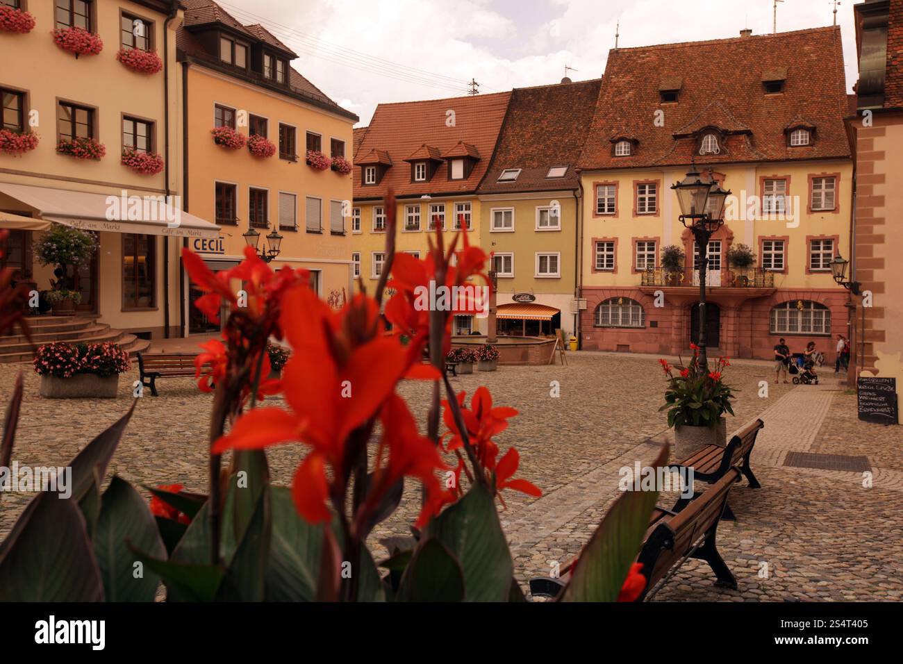 Das Dorf Endingen Im Kaiserstuhl in den Schwarzwald im Süden von Deutschland in Europa. Stockfoto