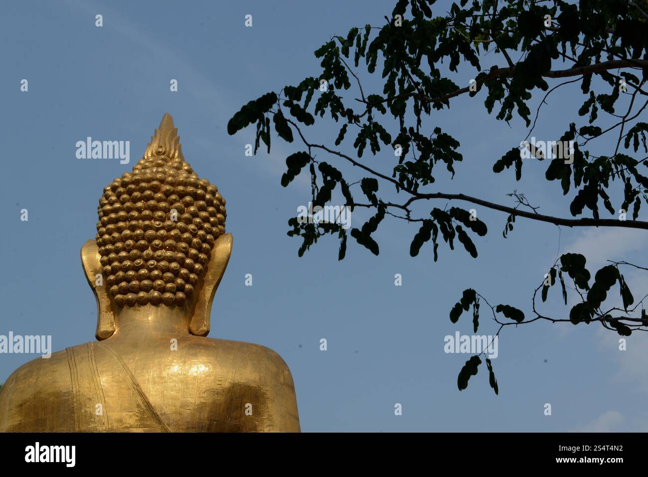 Der große Buddha im Stadtzentrum von Amnath Charoen nördlich der Stadt UBO Ratchathani im Osten Thailands. . THAILAND Stockfoto