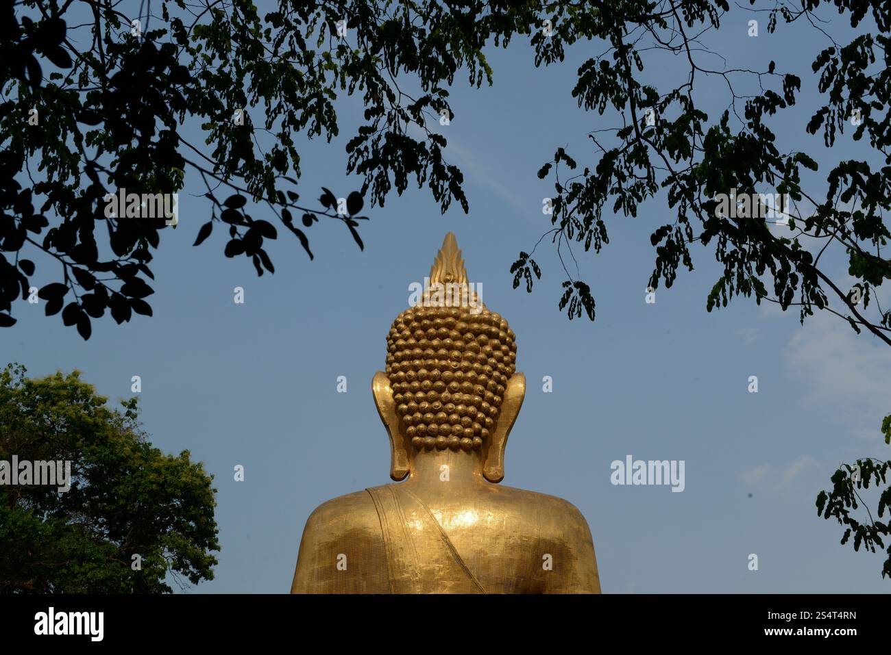 Der große Buddha im Stadtzentrum von Amnath Charoen nördlich der Stadt UBO Ratchathani im Osten Thailands. . THAILAND Stockfoto