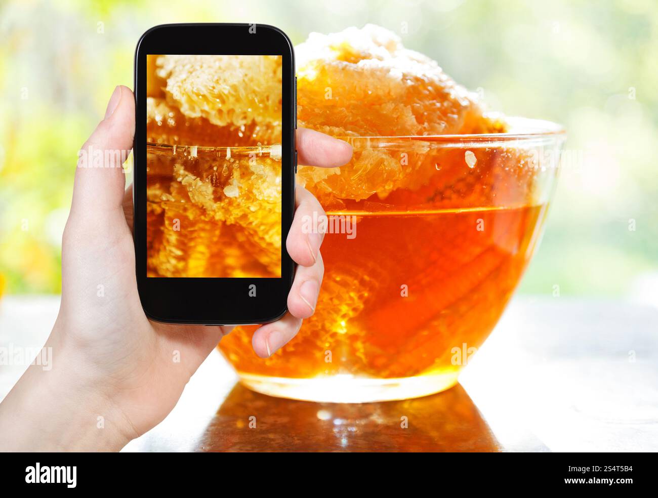 Fotografieren Food-Konzept - Tourist nimmt Bild von frischen Honig im Kamm in Glasschüssel am Tisch auf Smartphone, Russland Stockfoto