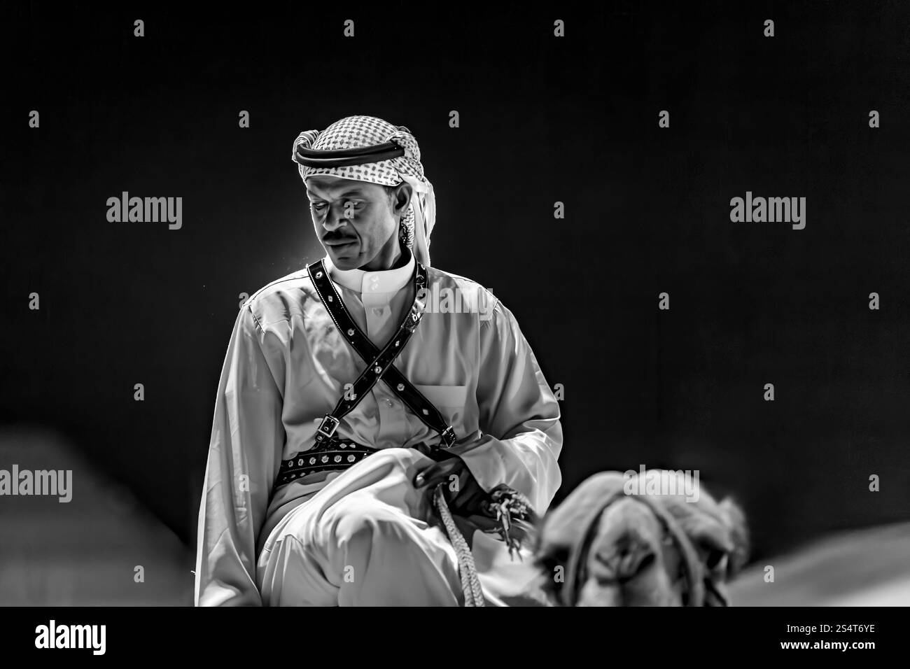 Wüstensafari Kamelreitfestival in Abqaiq Dammam Saudi-Arabien. Dieses Foto wurde im Januar 4. Jahr 2020 aufgenommen. Stockfoto