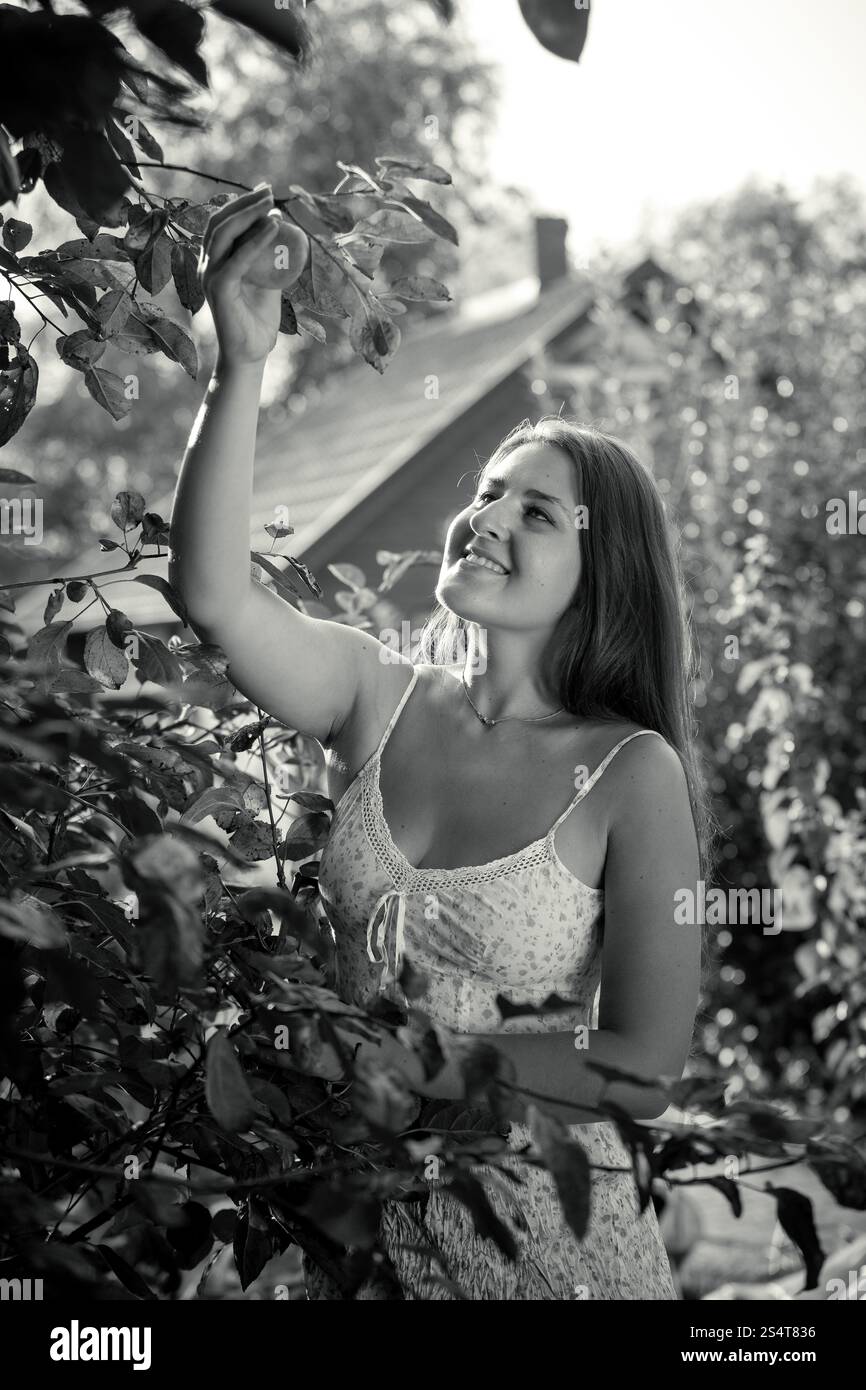 Monochrome Aufnahme lächelnde Frau Kommissionierung Apfel vom Gipfel des Baumes Stockfoto