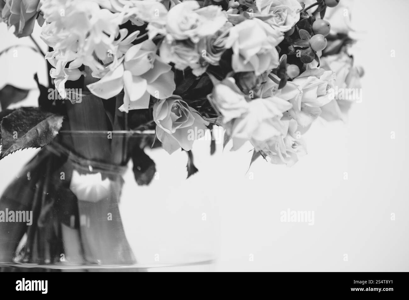 Closeup schwarz-weiß-Foto von Blumen in der Vase stehen Stockfoto