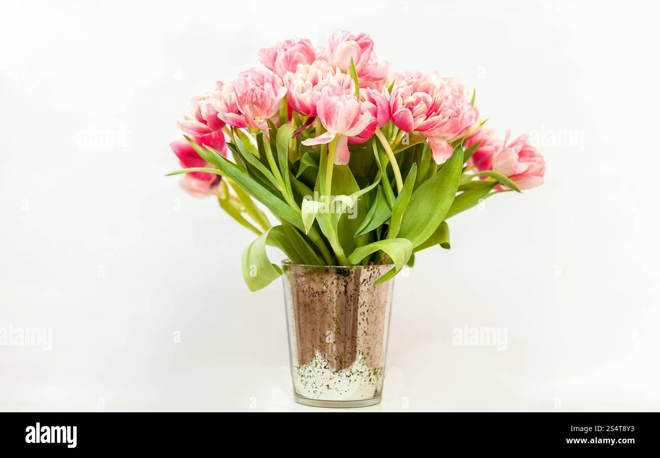 Nahaufnahme Foto von großen Haufen von rosa Tulpen vor weißem Hintergrund Stockfoto