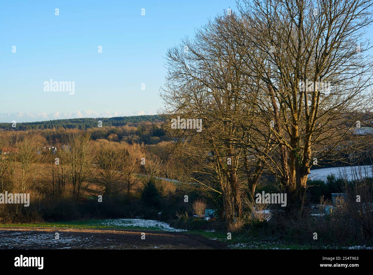 Wald und Landschaft im Winter in der Nähe von Battle, East Sussex, Großbritannien Stockfoto