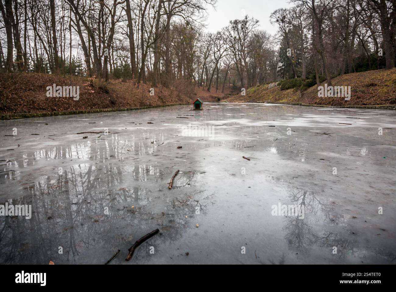 Großer See im herbstlichen Wald mit Eis bedeckt Stockfoto