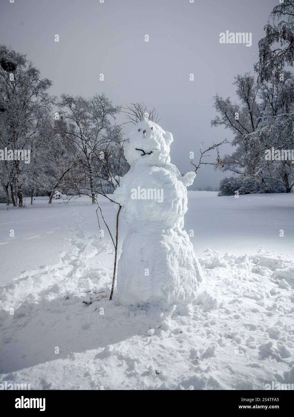 Outdoor-Foto von großen Schneemann im Winter park Stockfoto