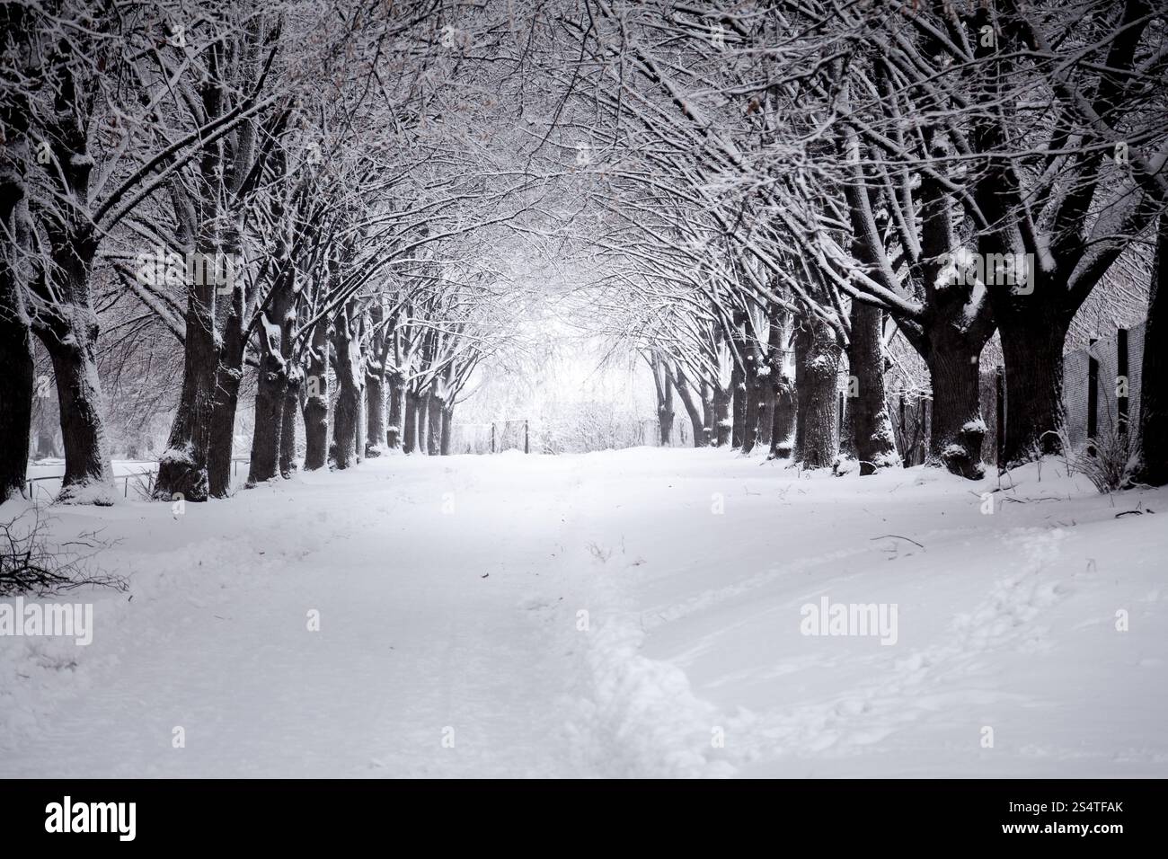 Outdoor-Foto der schönen Straße im Winter park Stockfoto