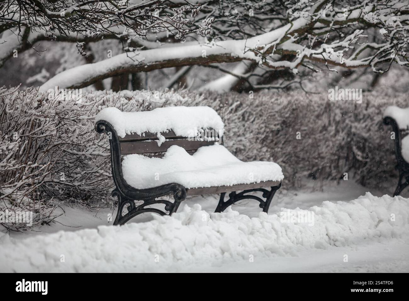 Im Freien Schuss der Bank im Park mit Schnee bedeckt Stockfoto