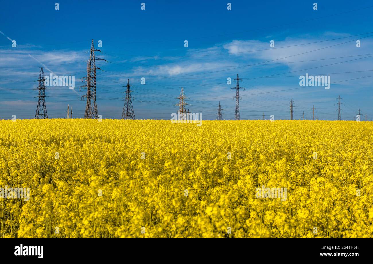 Outdoor-Foto von elektrischen Türme in Raps gegen blauen Himmel Stockfoto Outdoor-Foto von elektrischen Türme in Raps gegen blauen Himmel Stockfoto
