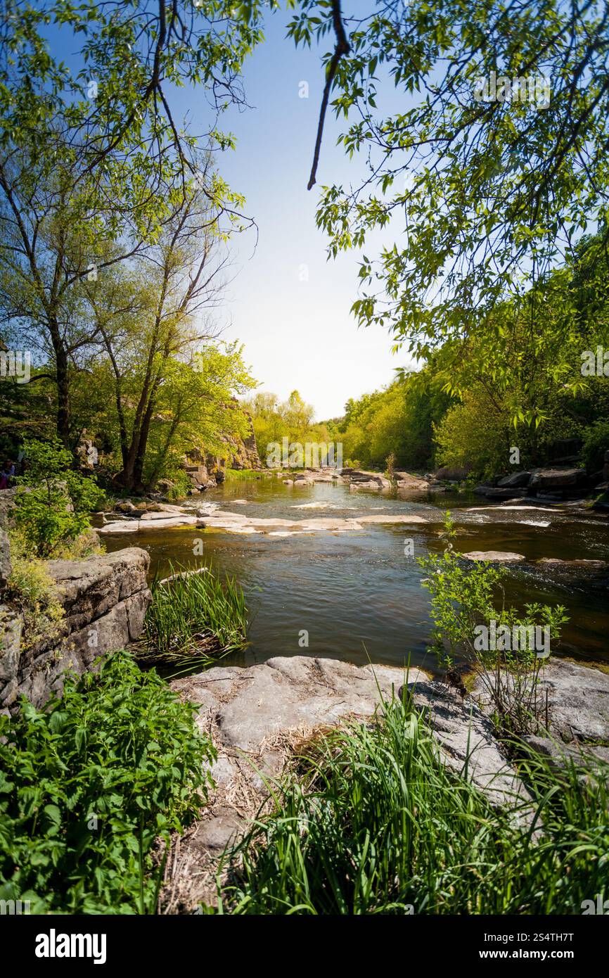 Natürliche Landschaft des schönen Fluss im Wald im Sommer Stockfoto