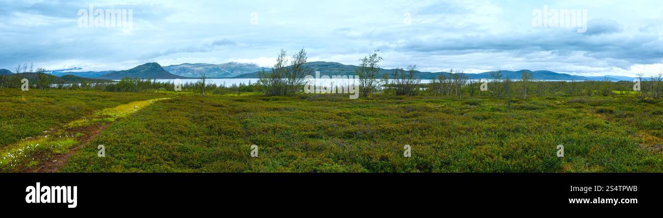 Tornetrask Sommer trübe Aussicht auf den See (Lappland, Norrbotten Grafschaft in Schweden) Stockfoto