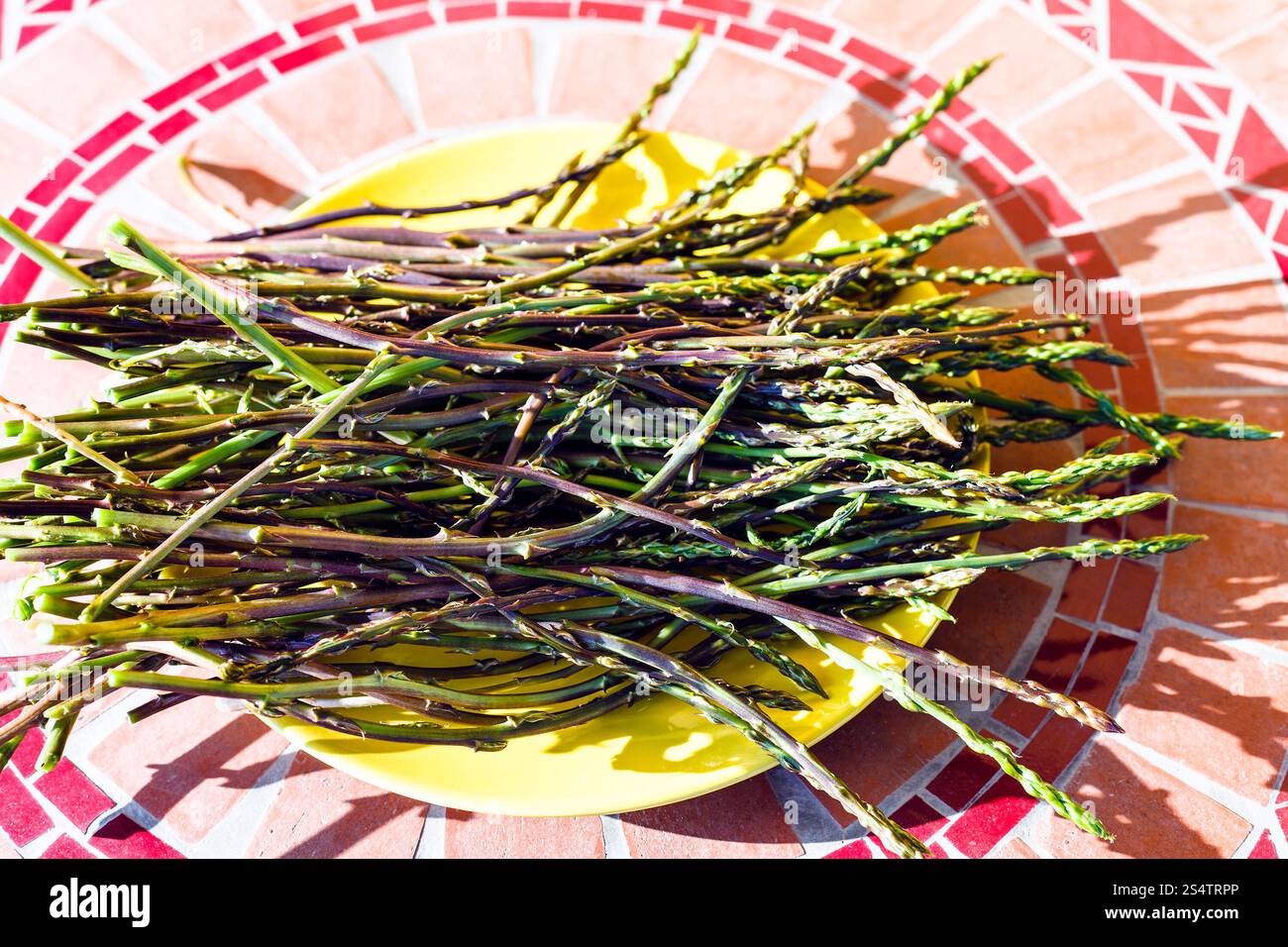 Grüner Wildspargelsprossen auf gelber Platte Stockfoto