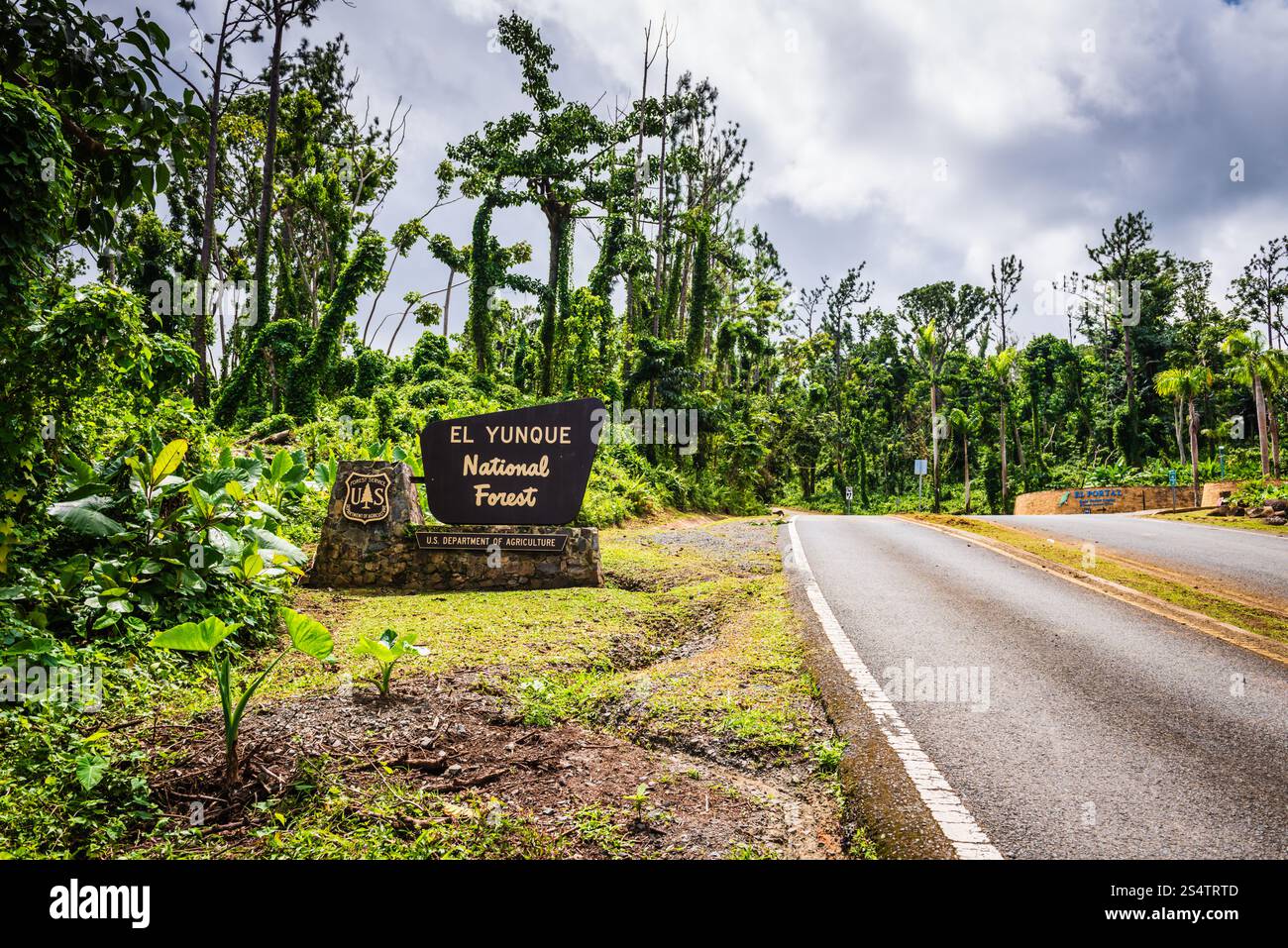 Rio Grande, Puerto Rico - 6. März 2018: Eintritt in den El Yunque National Forest. Stockfoto