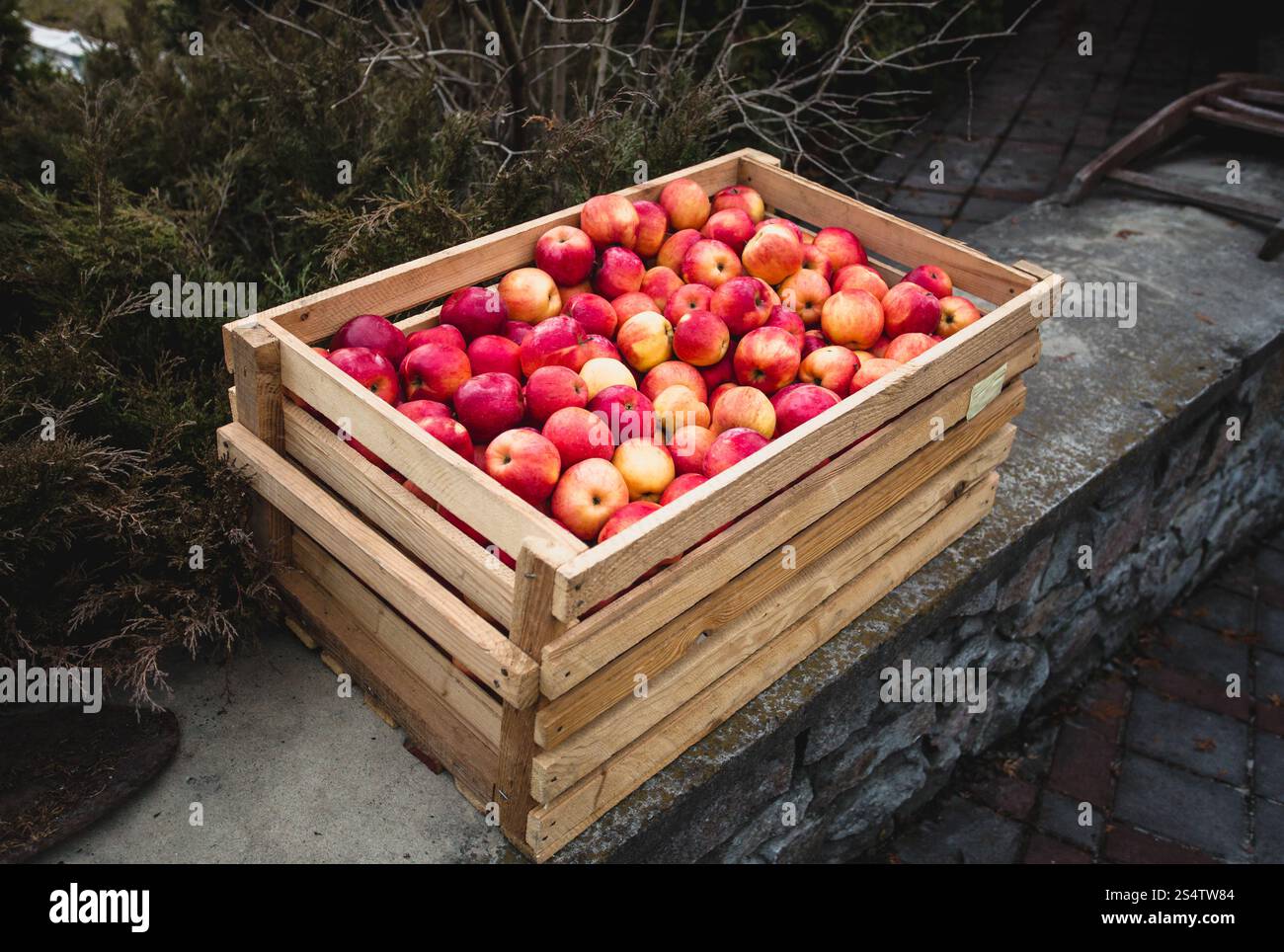 Im Freien Schuss der hölzernen Kiste voller frische rote Äpfel Stockfoto