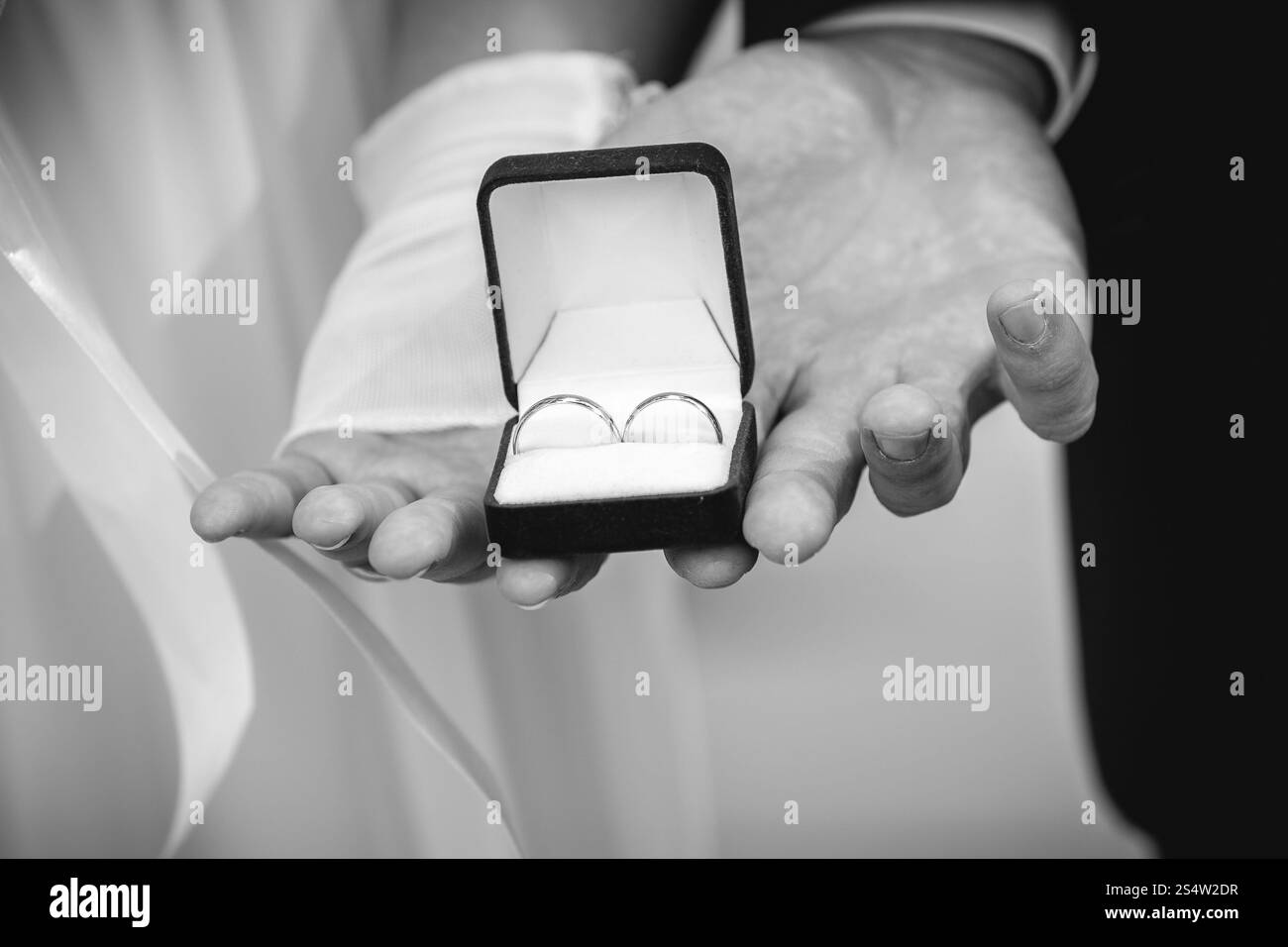 Einfarbige Aufnahme von Braut und Bräutigam in der Halterbox mit Eheringen Stockfoto