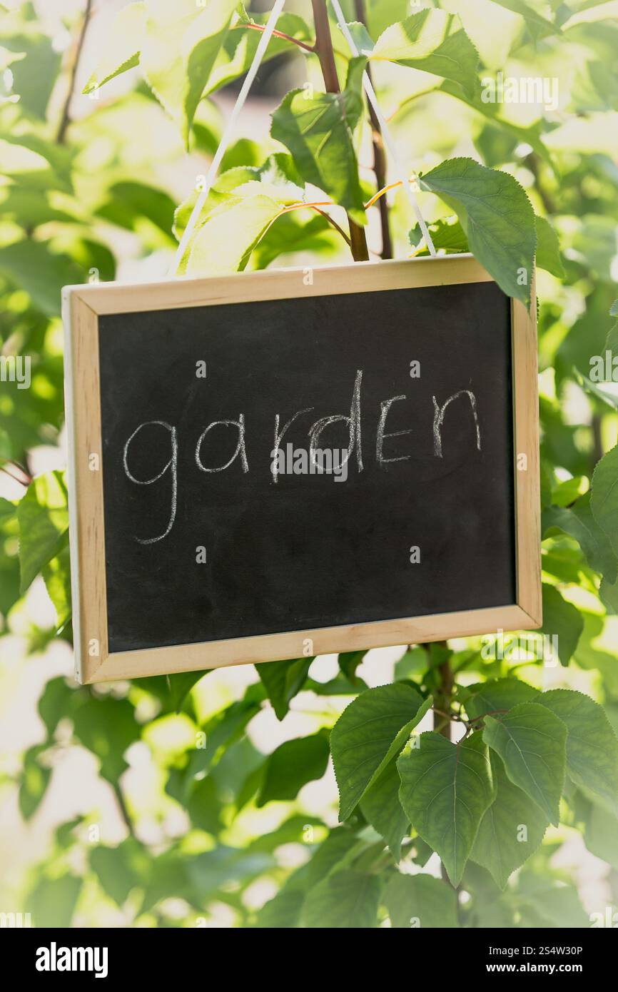 Getöntes Foto von Tafel mit Text Garden' Hanging on Tree Ast' Stockfoto