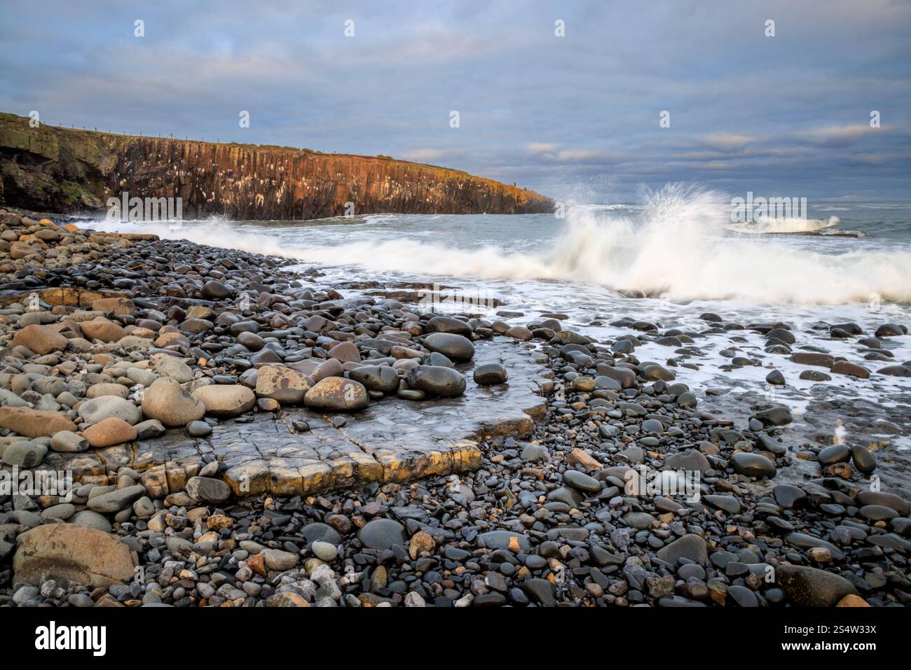 Der felsige Strand von Cullernose Point in der Nähe von Craster, Northumberland AONB, England Stockfoto