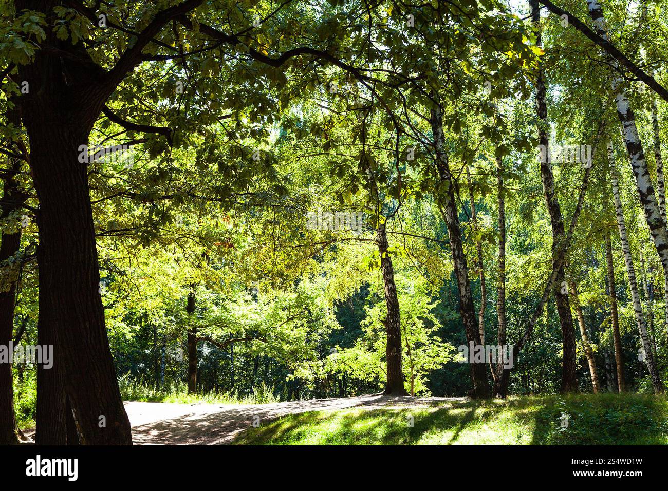 Pfad durch Sonnenlicht im Stadtpark im Sommer beleuchtet Stockfoto
