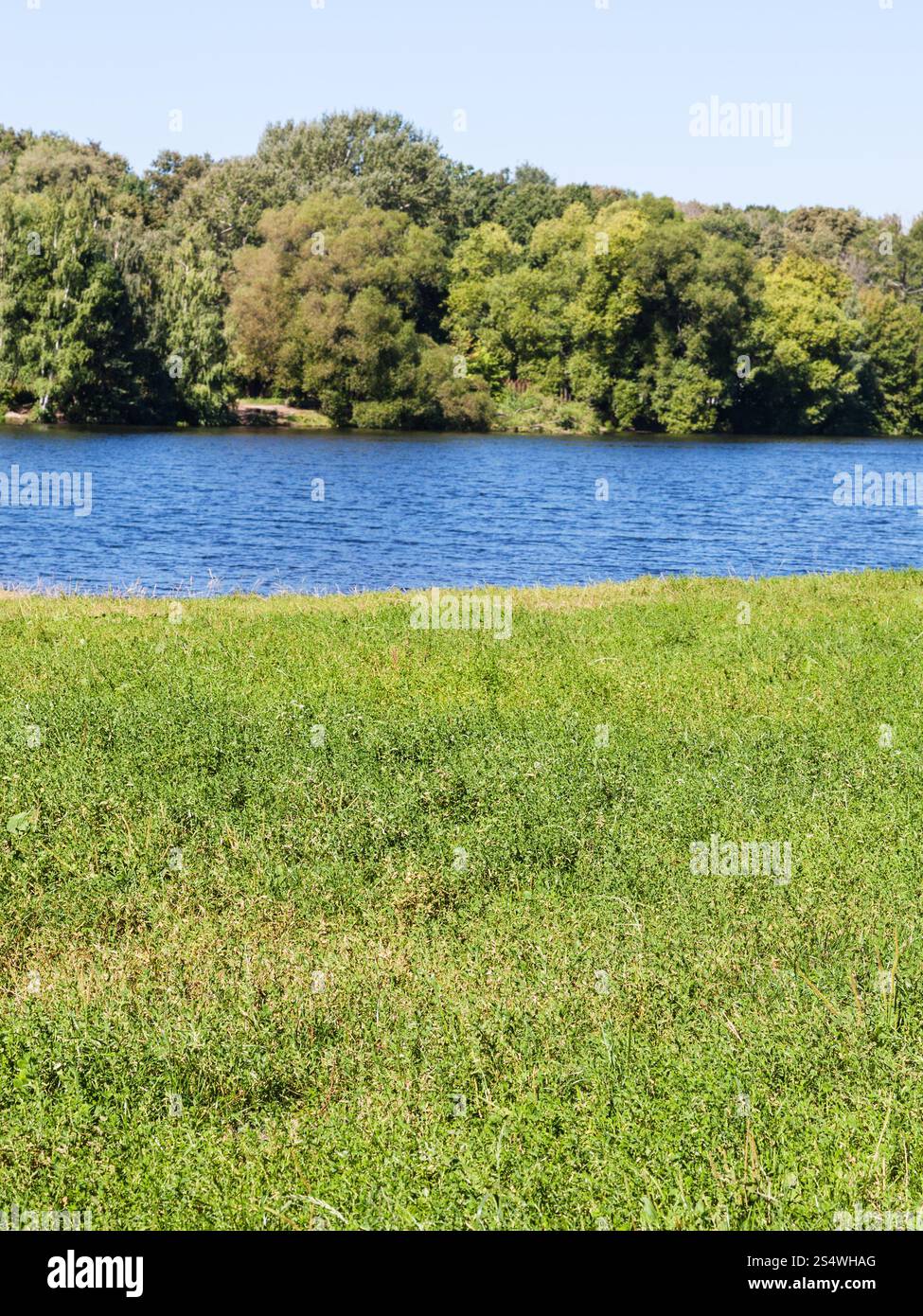 grüne Wiese am Flussufer in sonnigen Sommertag Stockfoto