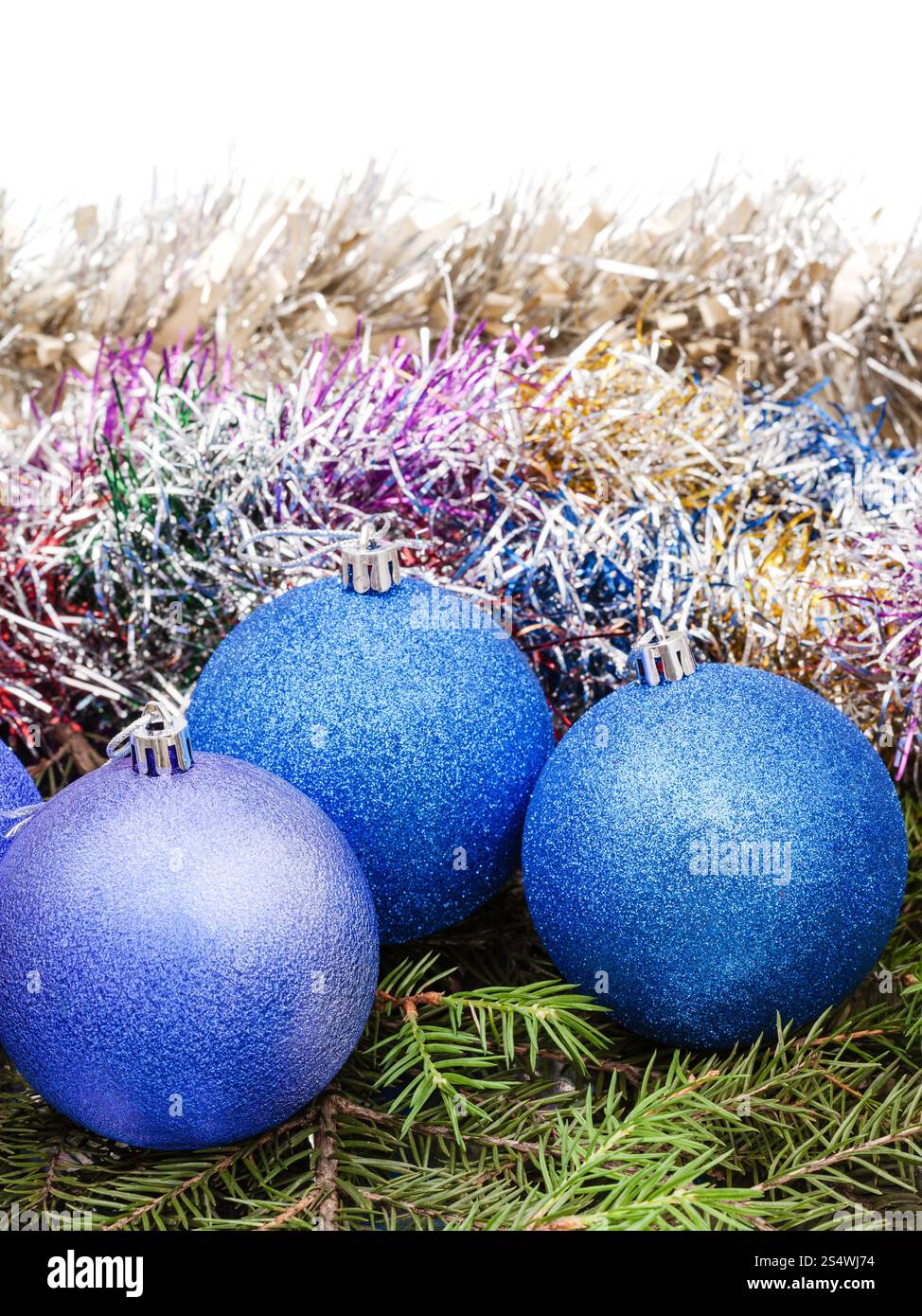 blauen und violetten Weihnachtsschmuck auf grüne Fichte Baum Zweig isoliert auf weißem Hintergrund Stockfoto
