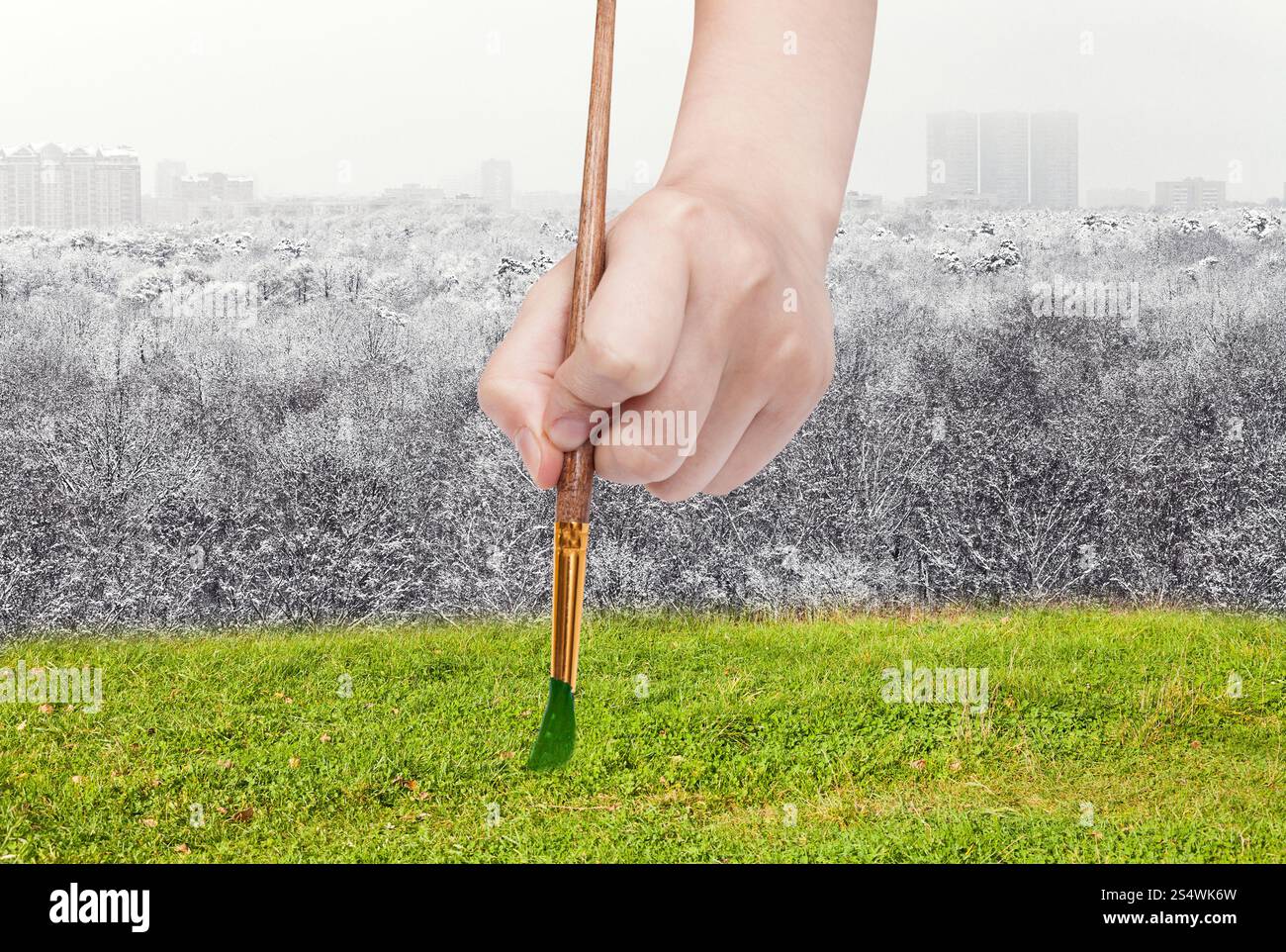 Natur-Konzept - Jahreszeiten und Wetter ändert: Hand mit Pinsel malt grünen Wiese statt Winterwald Stockfoto