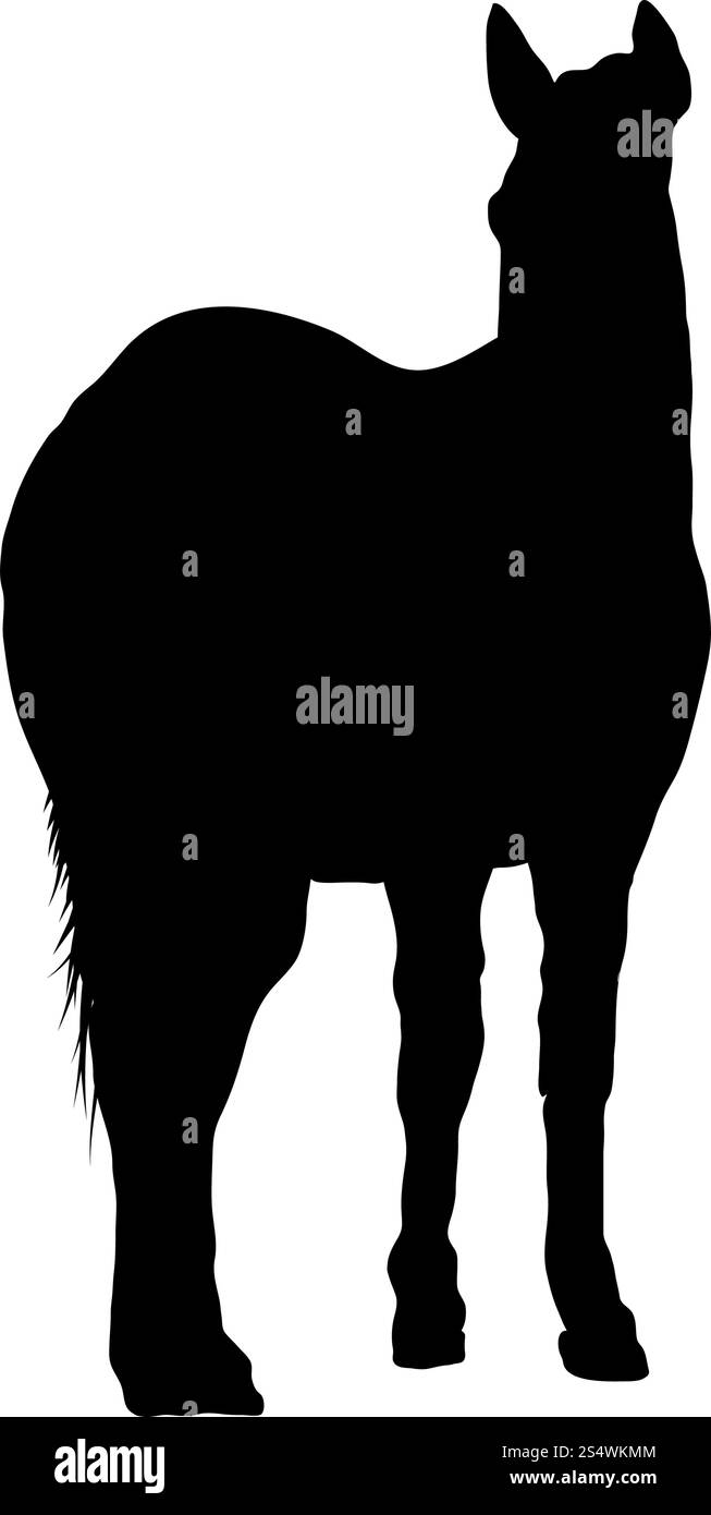 Pferd Silhouette. Sehr detaillierte glattes Design. Vector Illustration. Stock Vektor