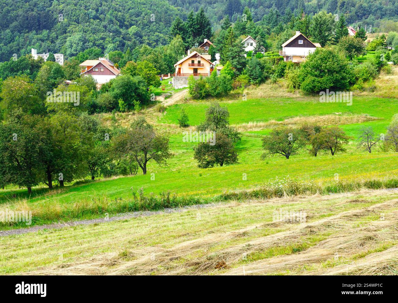 Blick auf Banska Stiavnica (Slowakei) mit Heu auf der Wiese Stockfoto