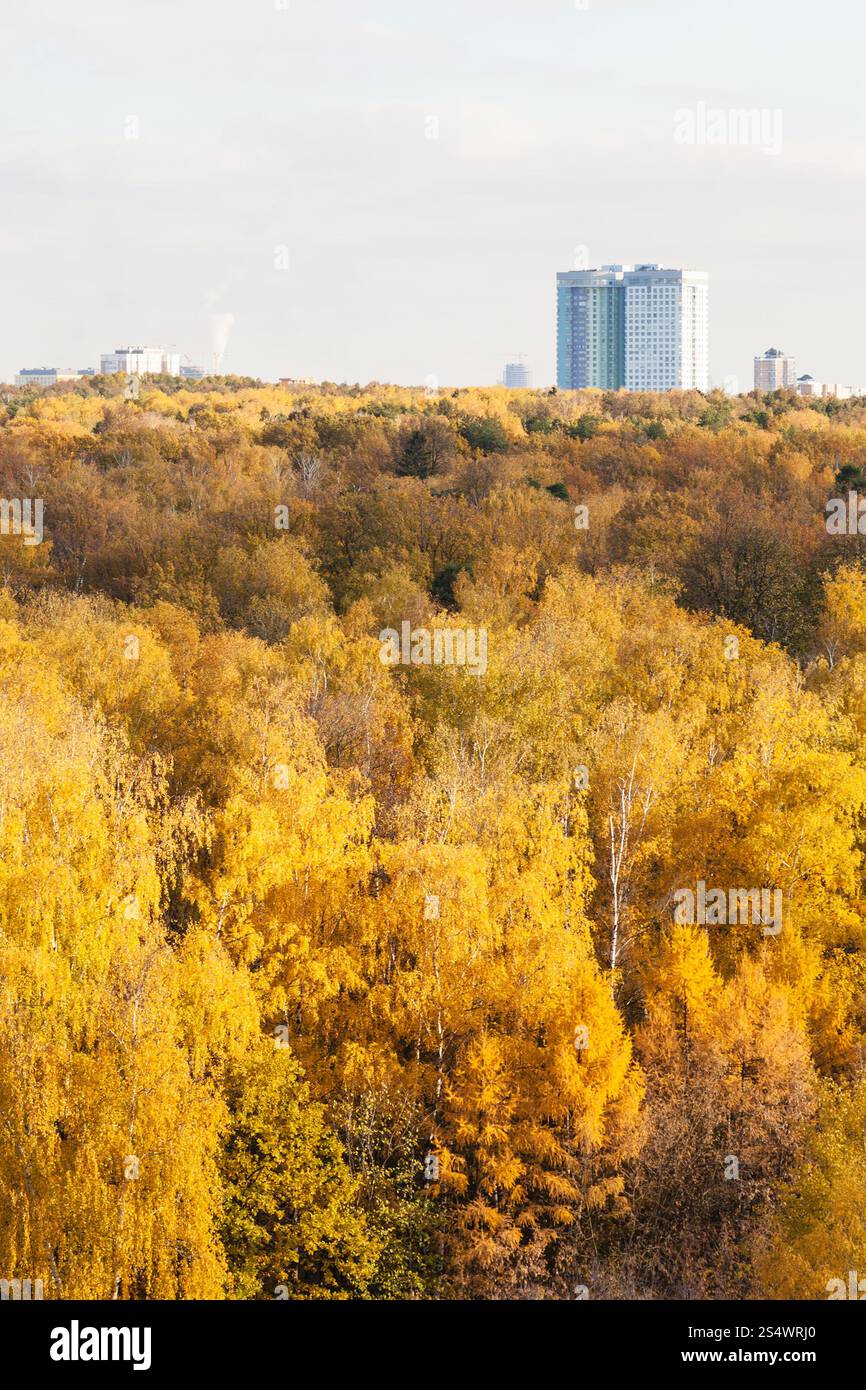 gelbe Wald- und modernes Apartmenthaus am Horizont im sonnigen Herbsttag Stockfoto