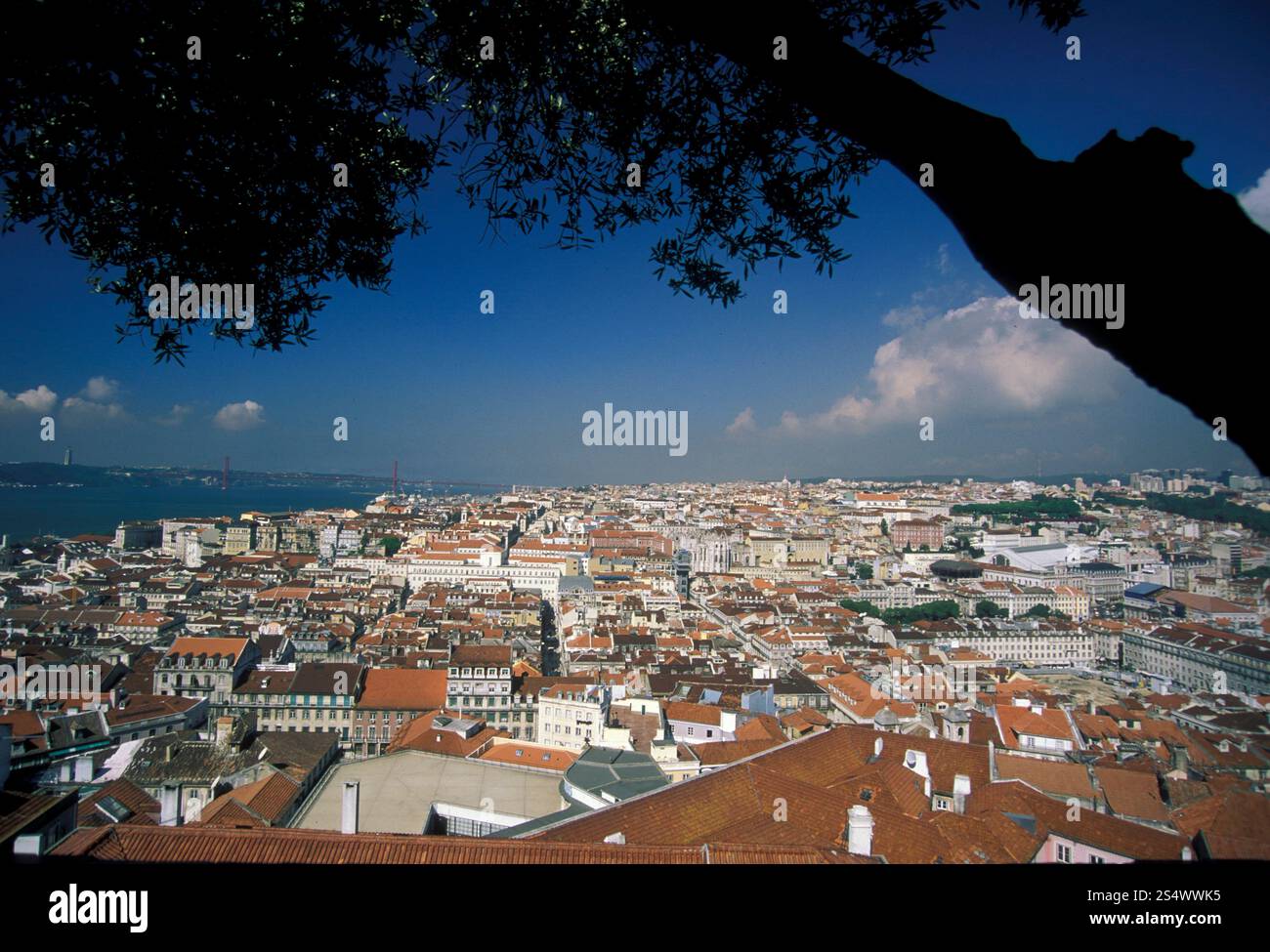 Die castelo sao Schlucht im Stadtzentrum von Baixa im Stadtzentrum von Lissabon in Portugal in Europa. EUROPA PORTUGAL LISSABON BAIXA CASTELO Stockfoto