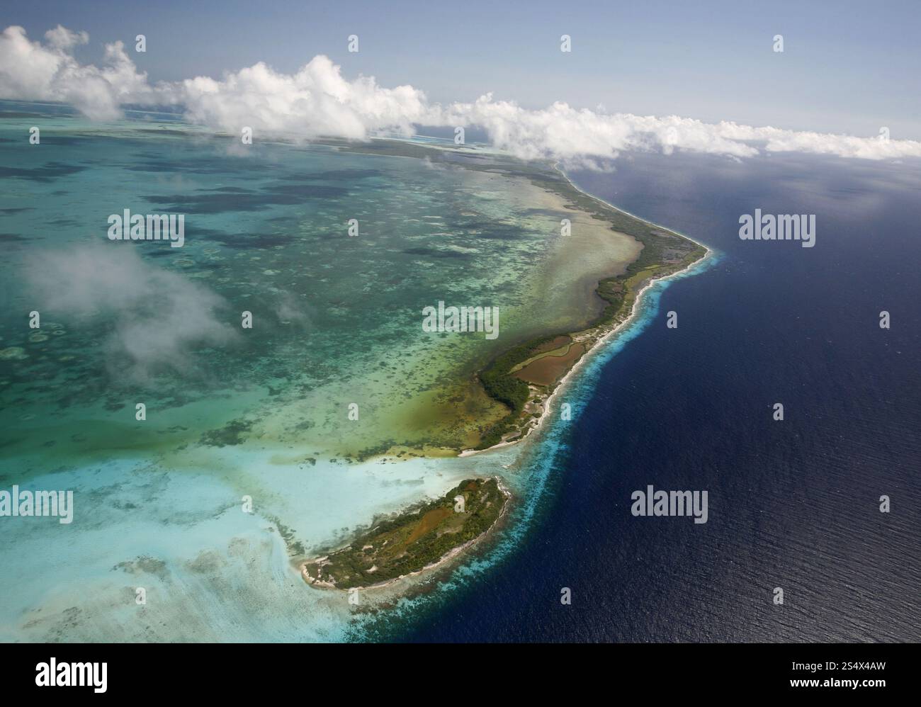 Die Luftaufnahme der Meereslandschaft der Los Roques Inseln in der karibik Venezuelas. SÜDAMERIKA VENEZUELA LOS ROQUES LUFTANSICHT Stockfoto
