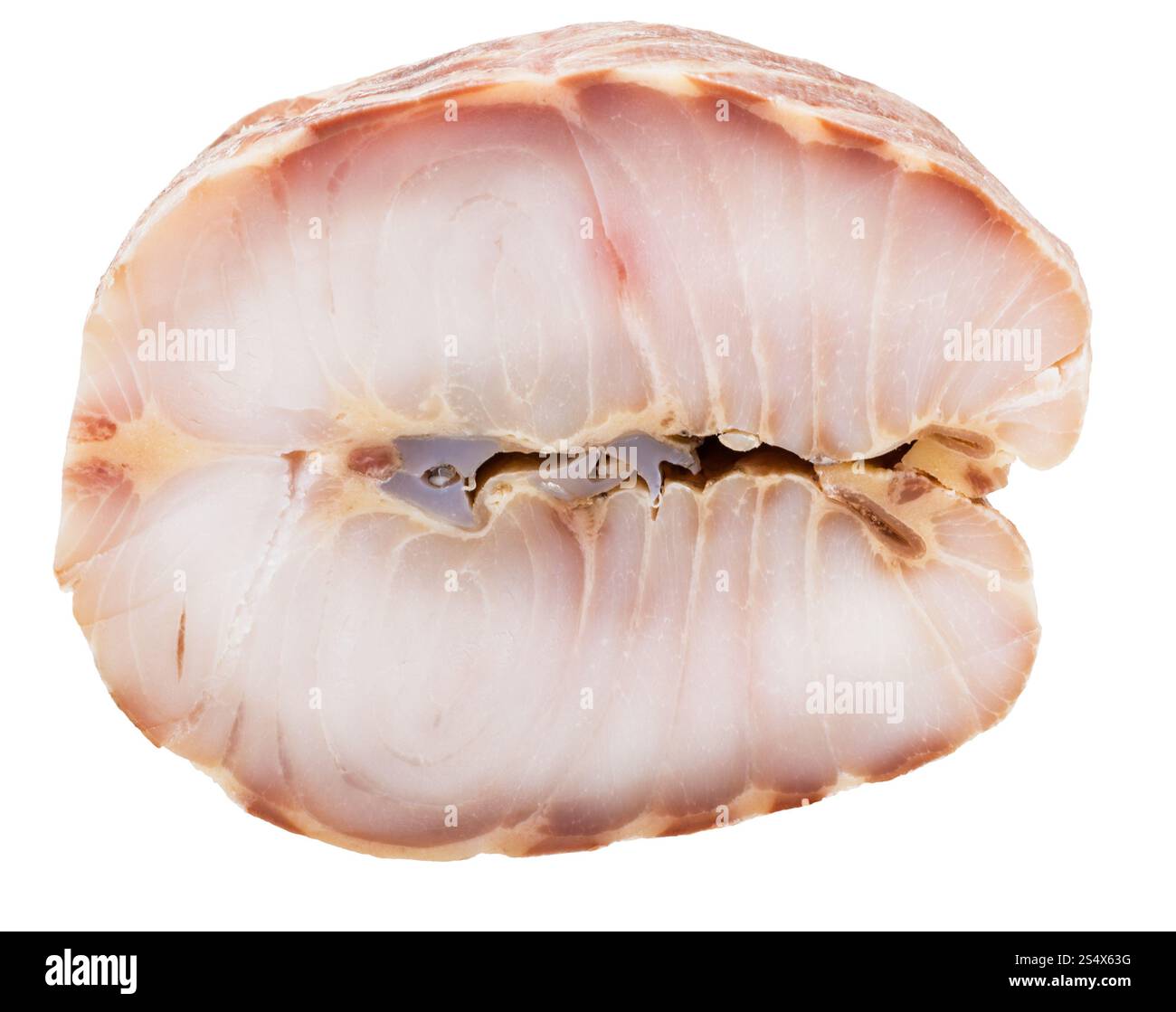 Steak vom heißen geräucherte stellate Stör Fisch isoliert auf weißem Hintergrund Stockfoto