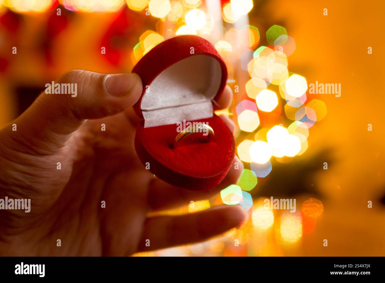 Makrofoto des Mannes präsentiert goldenen ring im Feld gegen geschmückter Weihnachtsbaum Stockfoto