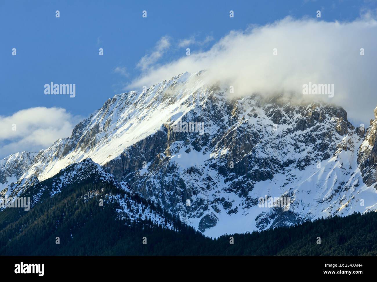 Wolke auf winterlichem Felsgipfel und Wald auf Hanglage (Österreich). Stockfoto