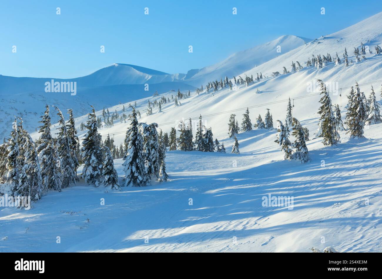 Eisige verschneiten Tannen auf Winter Morgen Hügel (Karpaten). Stockfoto